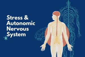 Stress and the Autonomic Nervous System