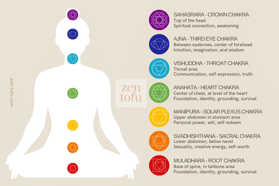 Guide Chakra System - Positions of the 7 Chakras - Zen Tofu